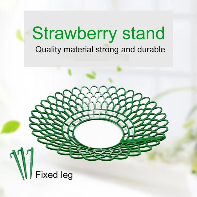 5PCS Strawberry Supports 3 Sturdy Support Feet Keeping Plant Fruit Stand Vegetable Growing Rack Garden Tool 5