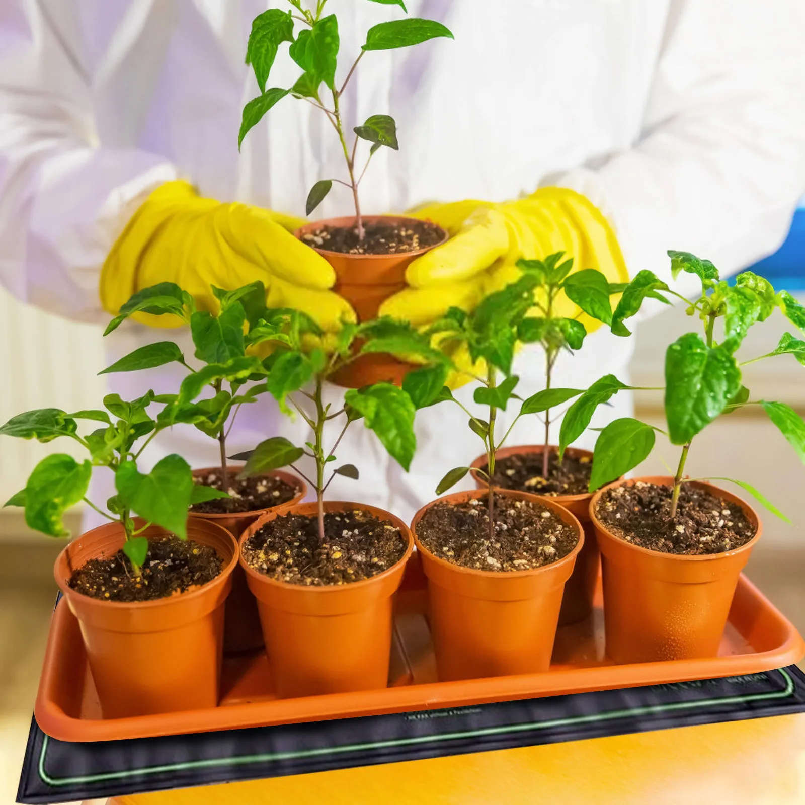 Seedling Heat Mat For Seed Starting 10 Inch X 20.75 Inch Waterproof Heating Pad For Indoor Plants Germination seedling heat mat