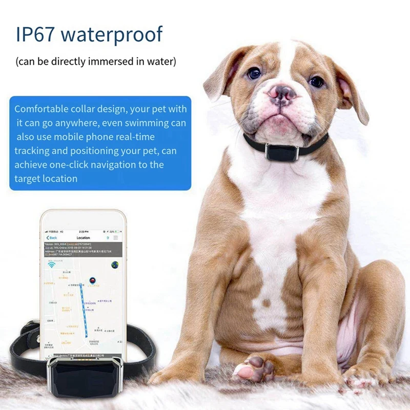 Smart GPS Waterproof Pet Locator GPS Pet Tracker Real Time Tracking With IP67 Waterproof For