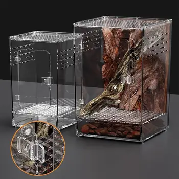 Acrylic Spider Breathing Terrarium 1