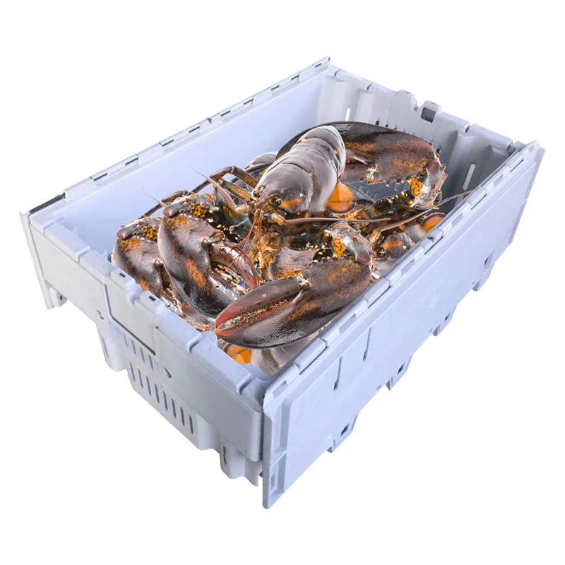 Heavy Duty Foldable Plastic Turnover Collapsible Stack Nest Fish Storage Box Lobster Basket Crates