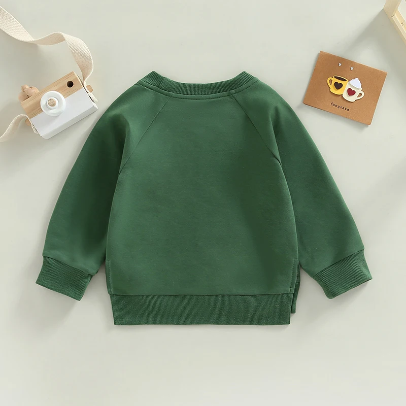 Toddler Kids Boys Girls Sweatshirts Solid Color Crew Neck Long Sleeve Hoodies Autumn Winter Casual Pullovers Tops