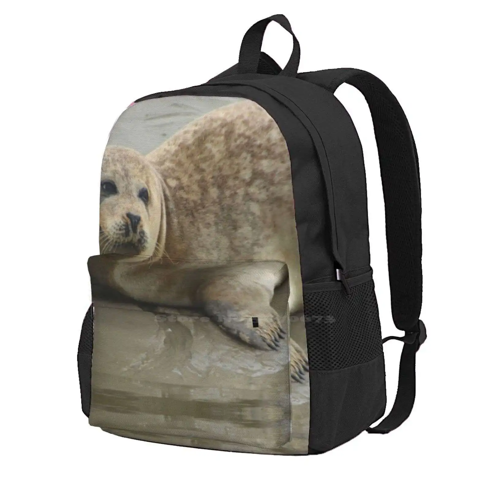 

Berck Beach Seal Fashion Travel Laptop School Backpack Bag Seal Dopal Rating The Heights Of France Berck