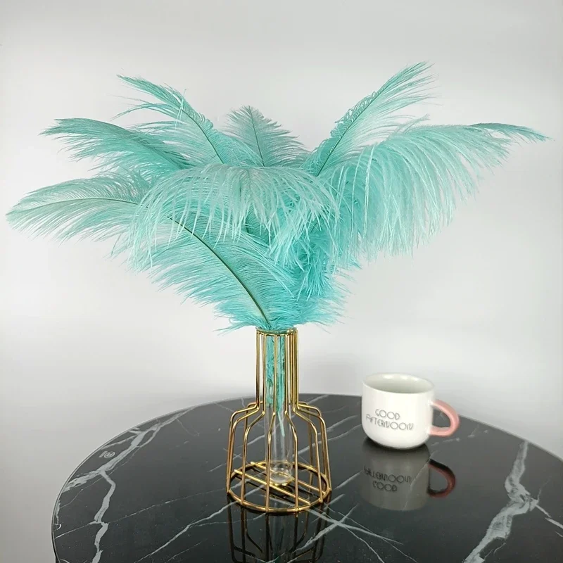 Ostrich Feathers 10Pcs Colorful For Clothes Crafts DIY Home Decor Table Centerpieces Vase