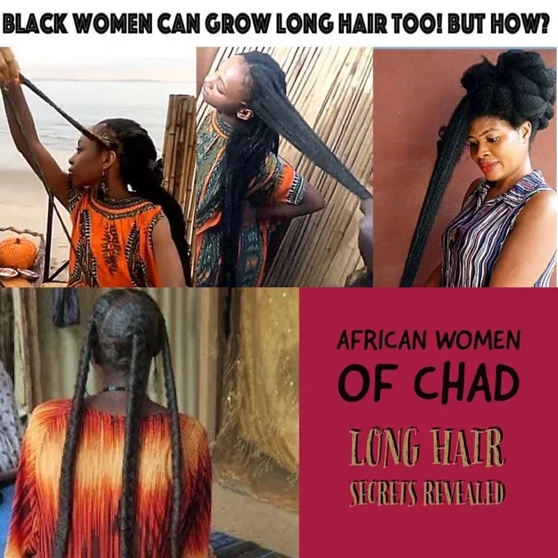 Africa Crazy Hair Edges Growth Traction Alopecia Chebe Powder Thicken Grow Long Hair Shampoo Hair Loss Treatment Wildly Beauty 5
