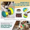 Dog Toy Tumbler Leaky Food Ball Elliptical Track Rolling Ball Slowly Feeding Protects Stomach Increase Intelligence Pet Supplies 4