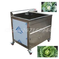 Multifunction Vegetable and Fruit Washing Machine 300kg/H Potato Apple Cleaning Machines Potato and Carrot Washing Machine 1