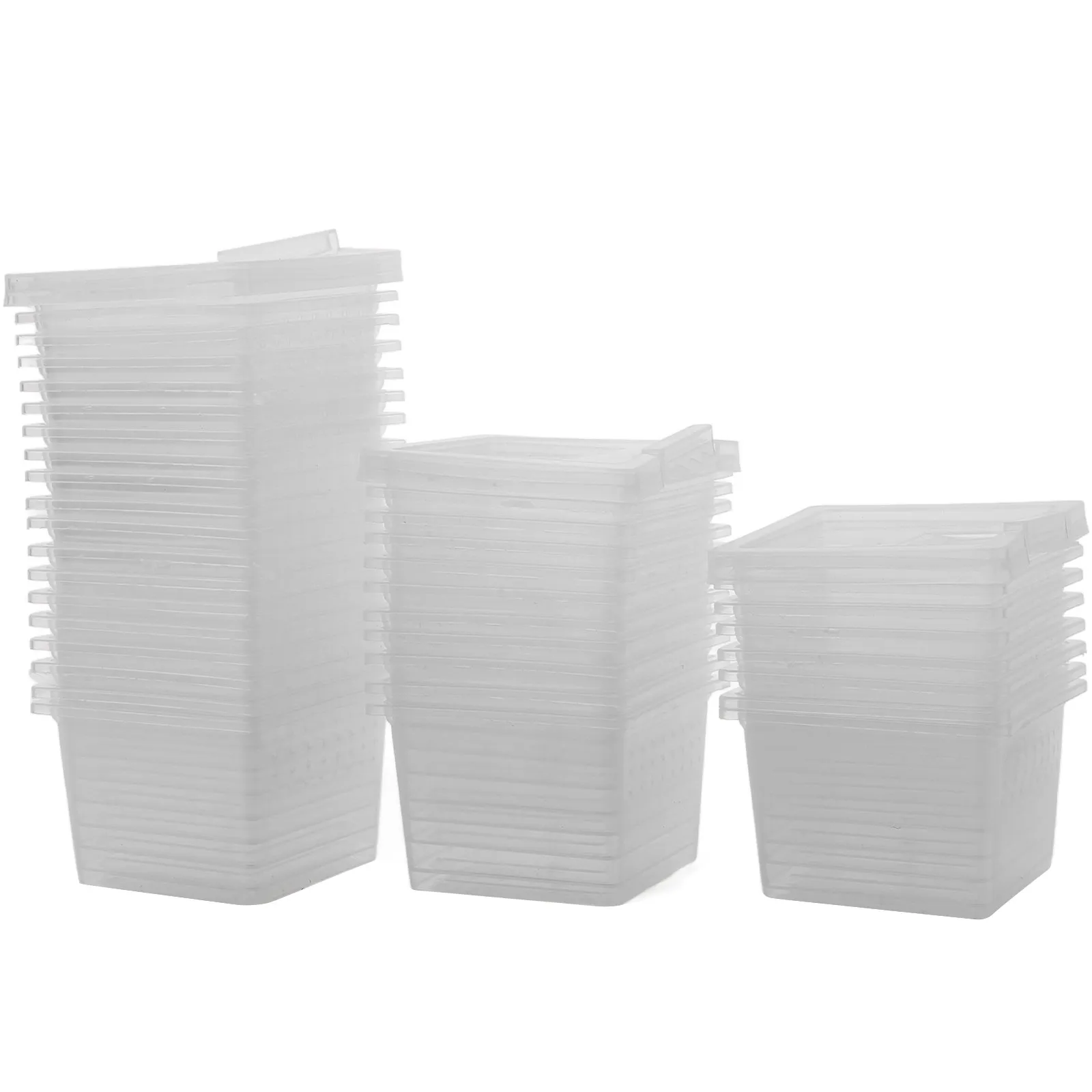 100Pcs 투명한 곤충 먹이 상자 파충류를위한 안전한 친환경 PP 소재 타란툴..