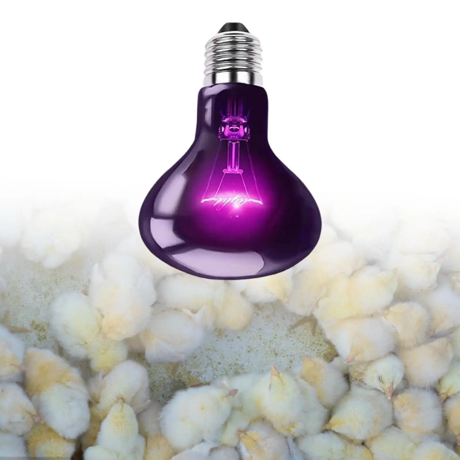 Reptile Night Light Bulb Simulated Moonlight Purple Heat Lamp for Amphibian