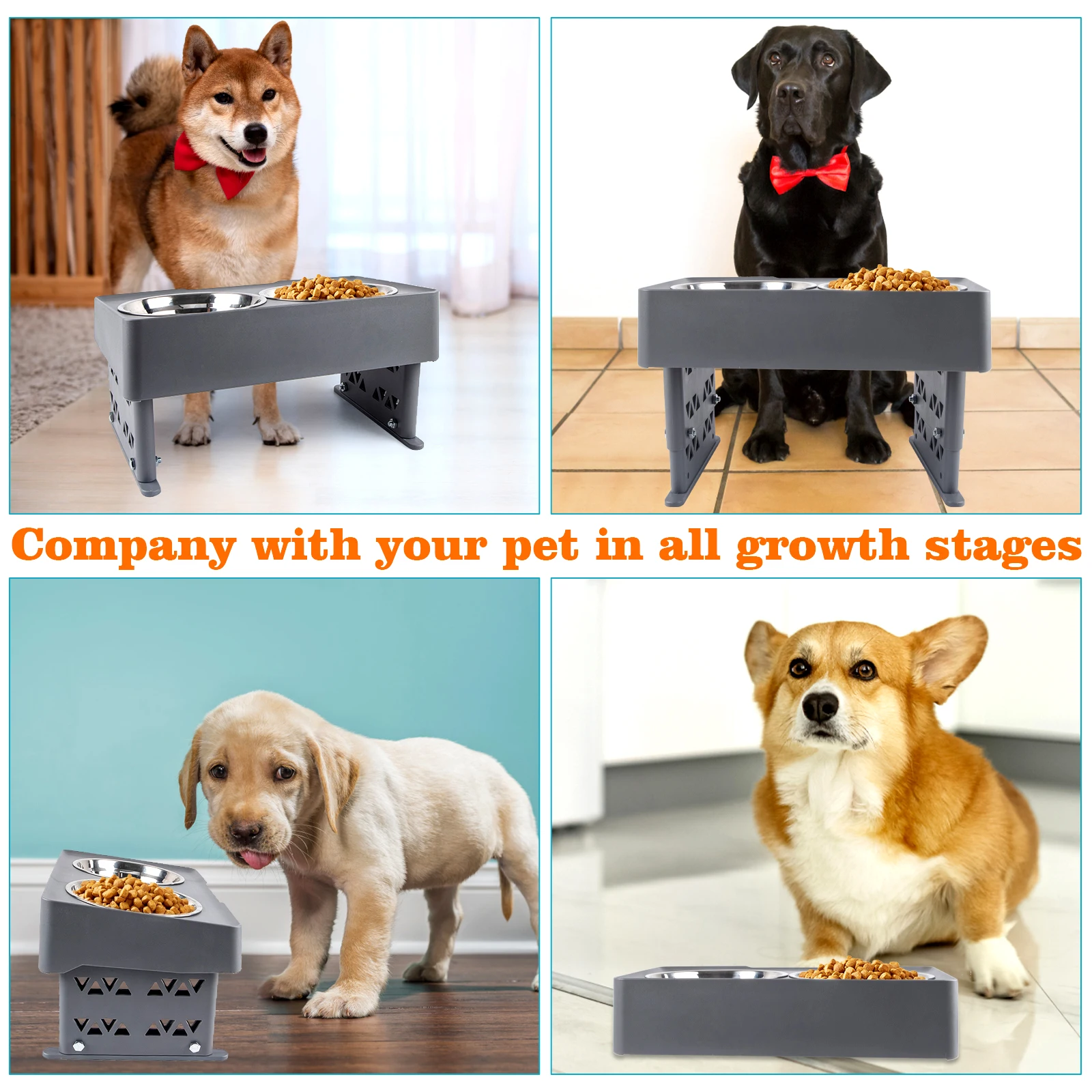 Should I Use An Elevated Dog Feeder