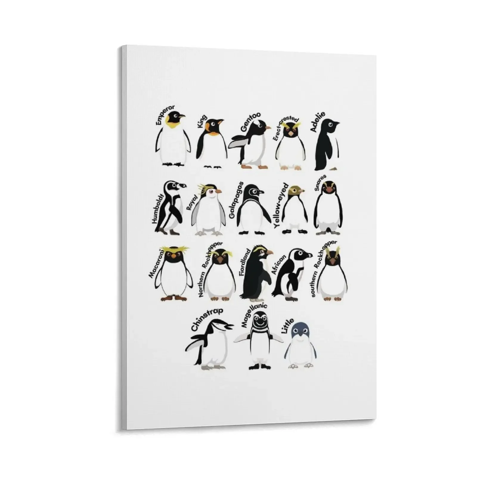 

Penguin Species Canvas Painting Posters on the wall canvas wall decoration
