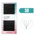 5D W Lashes