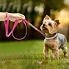 Dog Collar Crystal Glitter Rhinestone Pet Collars Zinc Alloy Buckle Collar For Small Medium Dogs Cats Chihuahua Pug Dog Collar 5