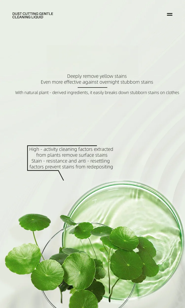 Mild Clothes Cleaning LiquidPlant Extract Stain RemovalSlow Skin CareSandalwood Laundry Detergent