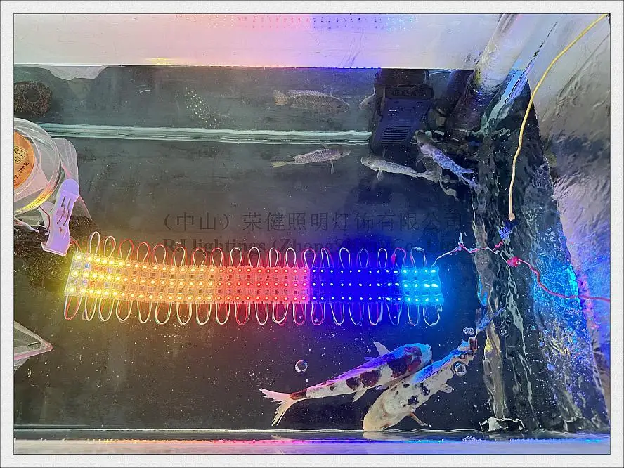 addressable Full Color Magic LED Light Module for sign advertising WS 2811 with IC WS2811 SMD 3030 DC12V 1.2W IP68 waterproof