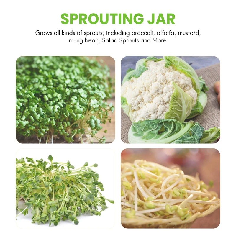 4 Pack Sprouting Lids Plastic Sprout Lids Stainless Steel Screen Wide Mouth Mason Jars Sprouter Sprout Maker