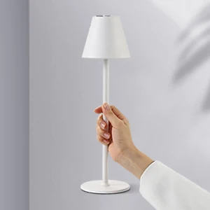 ZXK-LED table lamp