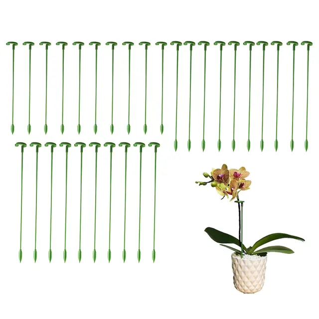Növénytámogató Tét Kert Egyetlen Szárú Virág Tartó Amaryllis Növény Ketrec Műanyag Virágállvány - Image 2