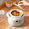 200W Electric Slow Cooker Food Steamer Stew Cup Multicooker Ceramic Pot Cubilose Stew Pregnant Tonic Baby Supplement Food Warmer 1