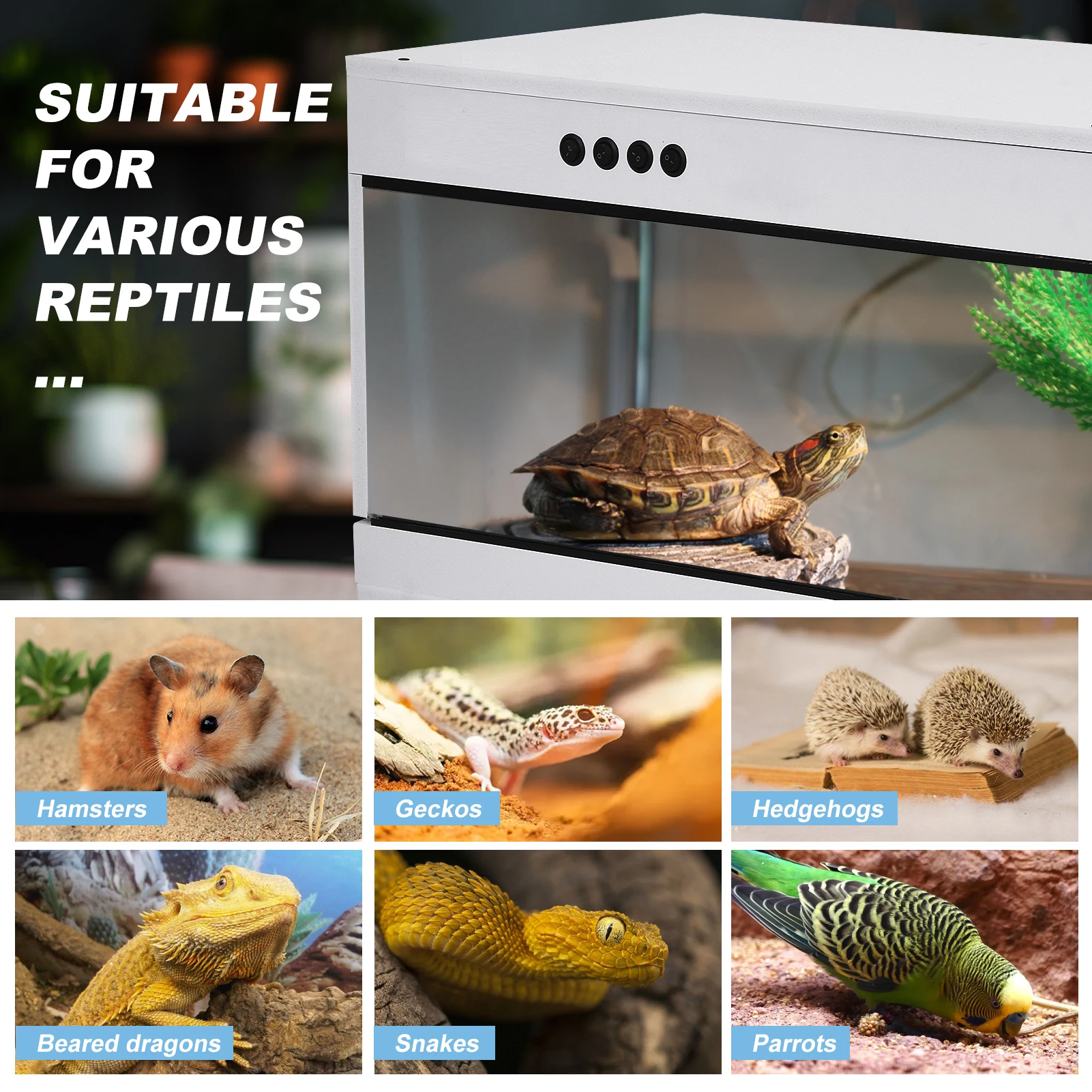 Tempered Glass Reptile Enclosure 6
