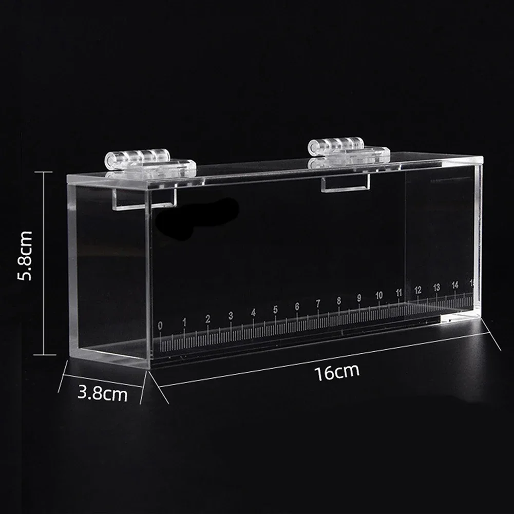1PCS Transparent Acrylic Fish Viewing Box High Clear Portable With Scale Crystal Fish Box Desktop Ornaments Party Home Decor