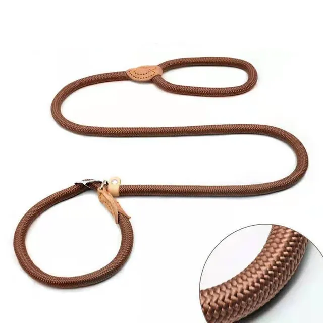 P Chain Dog Leash Slip Collar pet Walking Leads Nylon Dog Mountain Climbing Rope puppy pet Traction For small Medium Large Dogs 3
