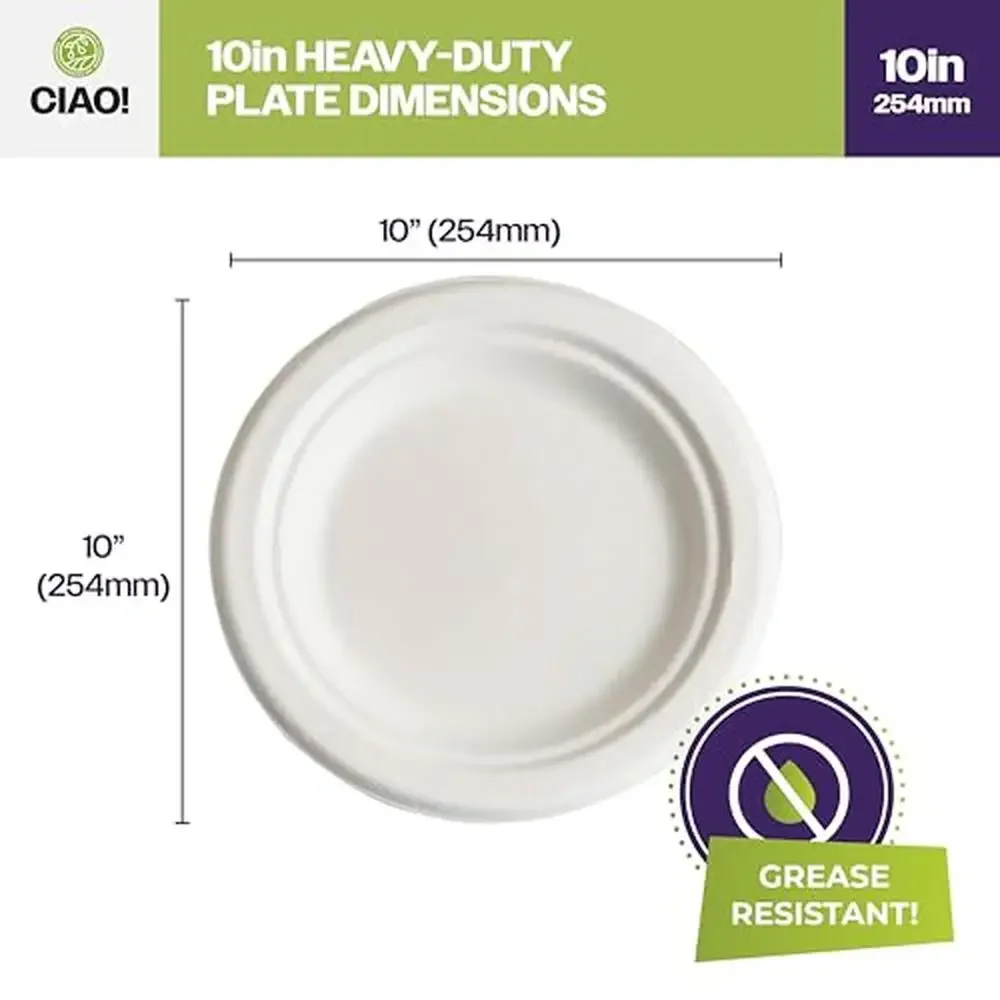 Eco-Friendly Heavy Duty Bagasse Bamboo Plates 10" Natural White Pack of 500