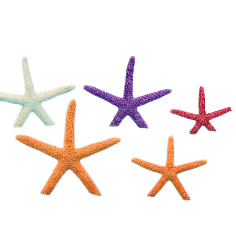 12ks pestrý mořská hvězdice moře hvězda oceán živočich modelka malý figurka řemesel cifra DIY okrasa miniatures dekorace