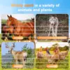 20 Miles Solar Electric Fence Charger 0.5J Energizer Controller for Livestock Prevent Predator Invasion for Poultry No Battery 4