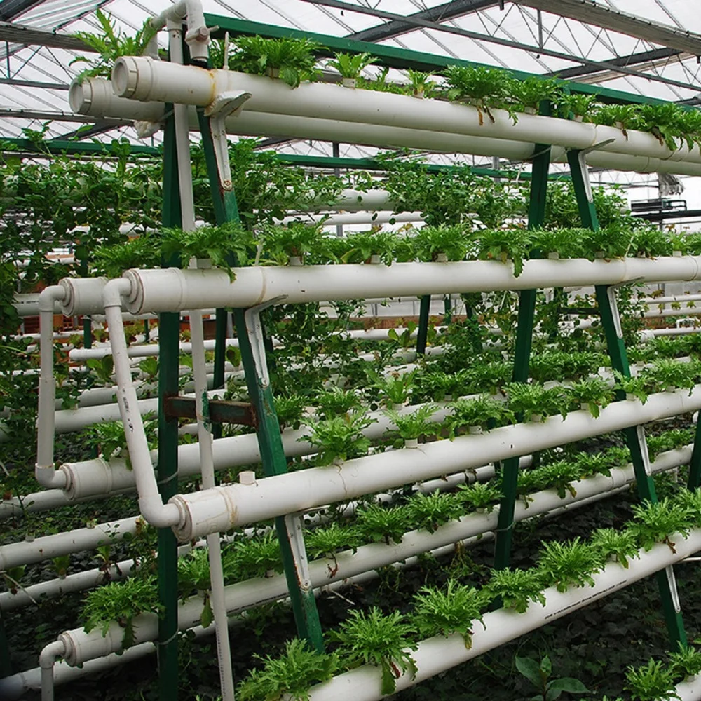 Everything You Need to Know About This DIY Vertical Hydroponic Pipe System  for Home Farming, image size:1000x1000