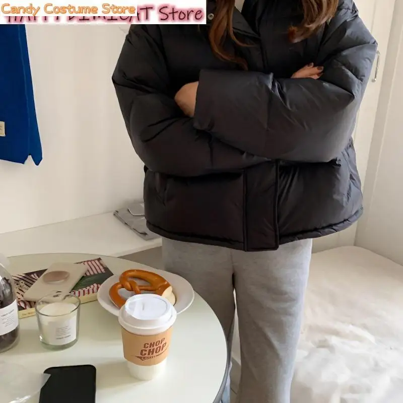 Women Warm Overcoat Winter Down Coat Parka Female  New Winter Duck Down Coat Parka Short Feather Warm Puffer Jacket