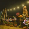 LED Solar Butterfly Solar Lights Outdoor Landscape Lights IP65 Waterproof for Yard Lawn Garden Walkway Decorative Path Lighting 5