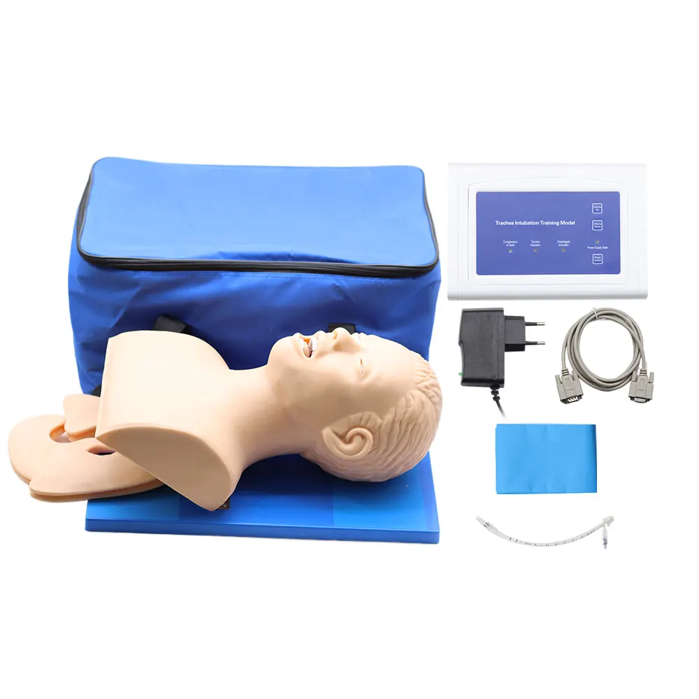 Electronic Human Tracheal Training Model Intubation Training Manikin with Tooth Pressure Alarm