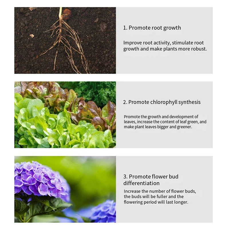 1Bottle Gardening Universal Slow-Release Tablet Organic Fertilizer Nitrogen Phosphorus Potassium Slow Release Agent