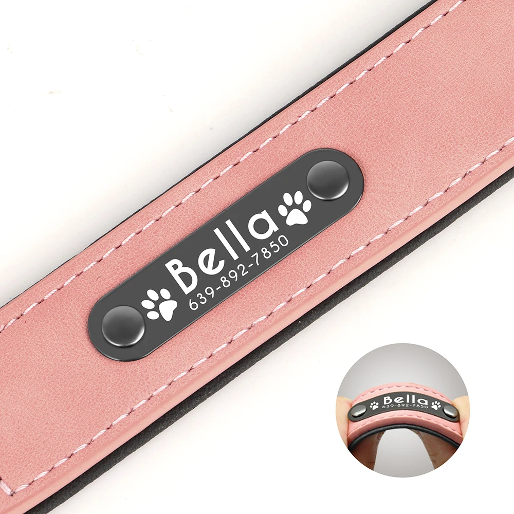 Padded leather dog collar with durable D-ring for leash attachment.