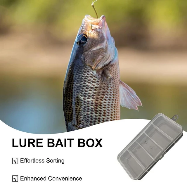 Lure Bait Storage Box Fishing Tackle Storage Box With 5 Grid