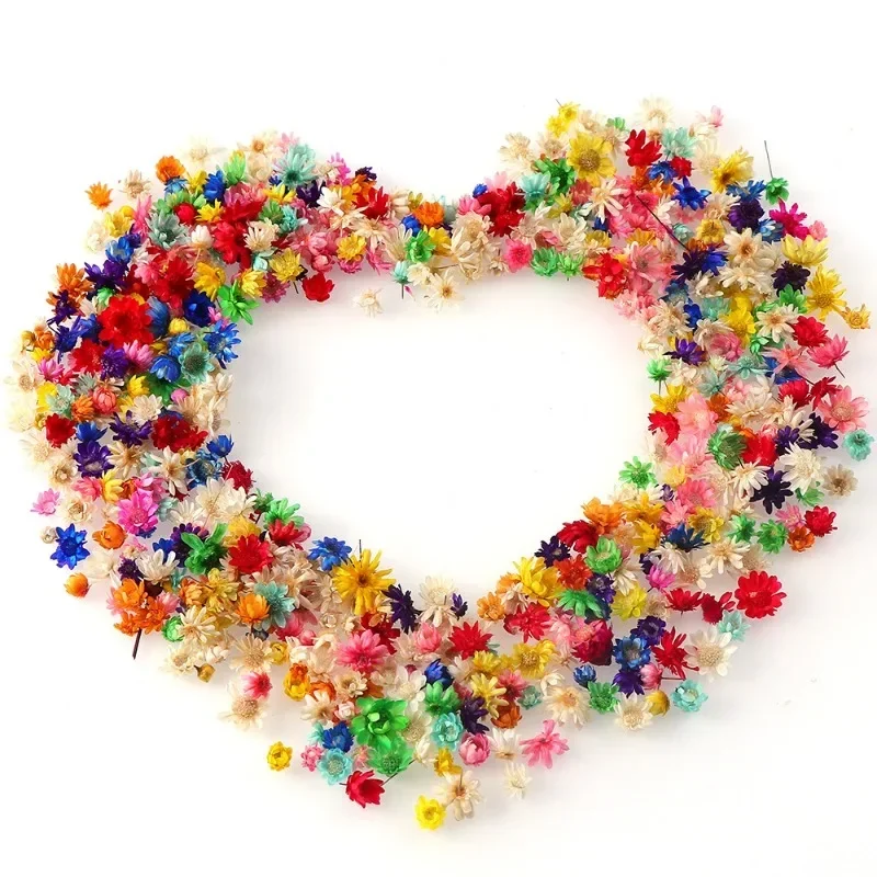Artificial Flower 100/200pcs for DIY Resin Candle Making Jewelry Fill Art Craft Home Decor Party Decoration Artwork Photo Prop