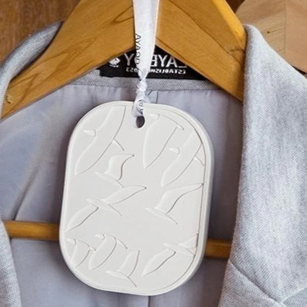Diatomaceous Earth Desiccant Innovative Dehumidification Effectively Absorb Moisture Mold Prevention Deodorize Diatom Mud Brand