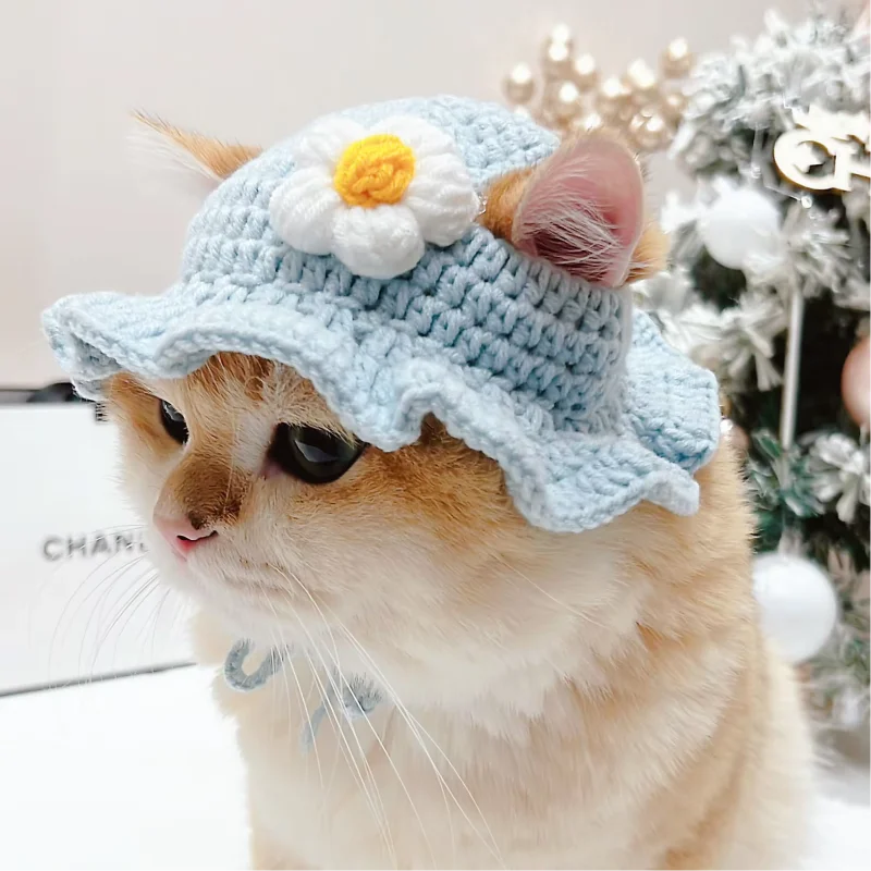 Knit Hat Pet Cat Hats Cats In Hats Dinosaur (Knit) – Lion Brand Yarn