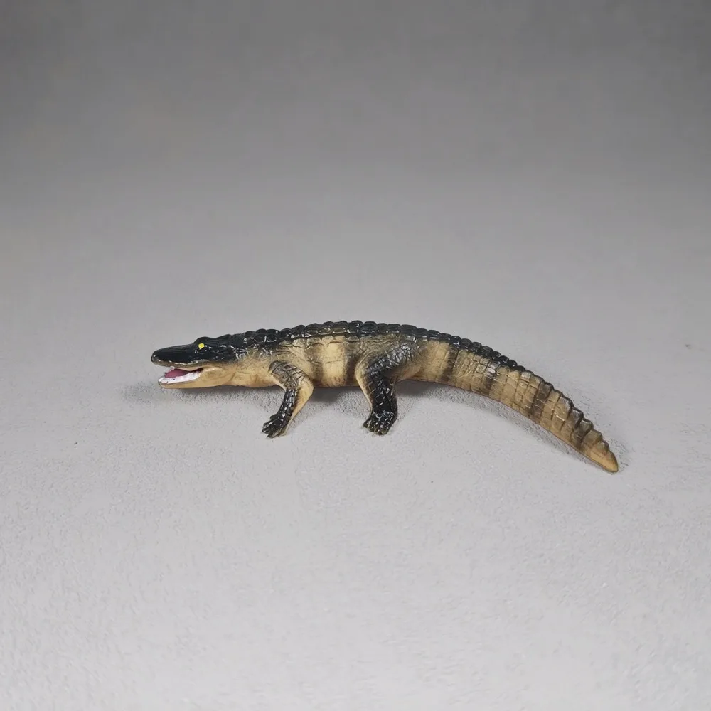 Crocodile Growth Cycle Model Toy for Kids Animal Cognition Early Education Science Ornament-Egg Hatching Cub Adult 4 Stages