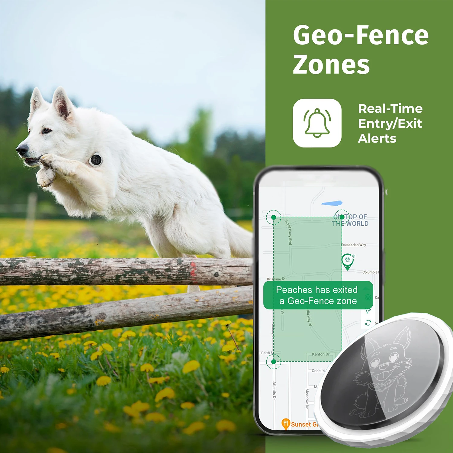 Dog Anti-Lost Locator Pet Locator To Prevent Pets From Getting Lost Wild Tracking Waterproof Anti-Freezing Accurate Positioning bluetooth tracker smart tracker
