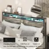 Vabches Queen Size Bed Frame with Storage Headboard Metal Platform Bed Frame with Power Outlet&LED Lights for Bedroom Noise Free 3