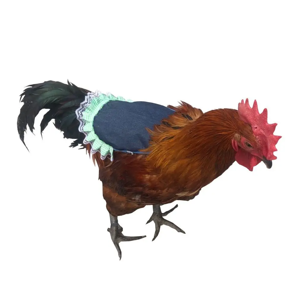 실용적인 천 소재 닭 안장 앞치마 조절 가능한 닭 하네스 조끼 가금류 앞치마 부드러운 암탉 등 조끼 사계절용
