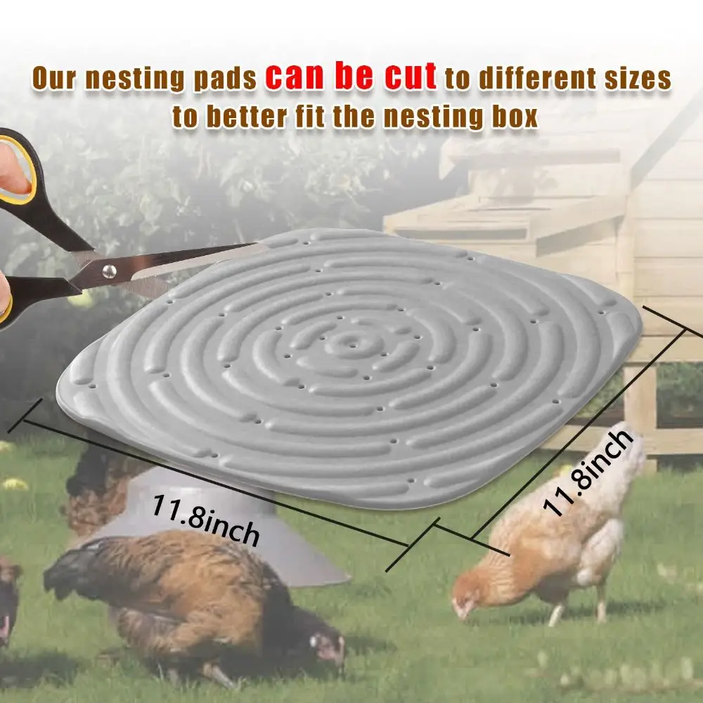     е,  ô   ħ Ʈ,     е, 2 , 4 