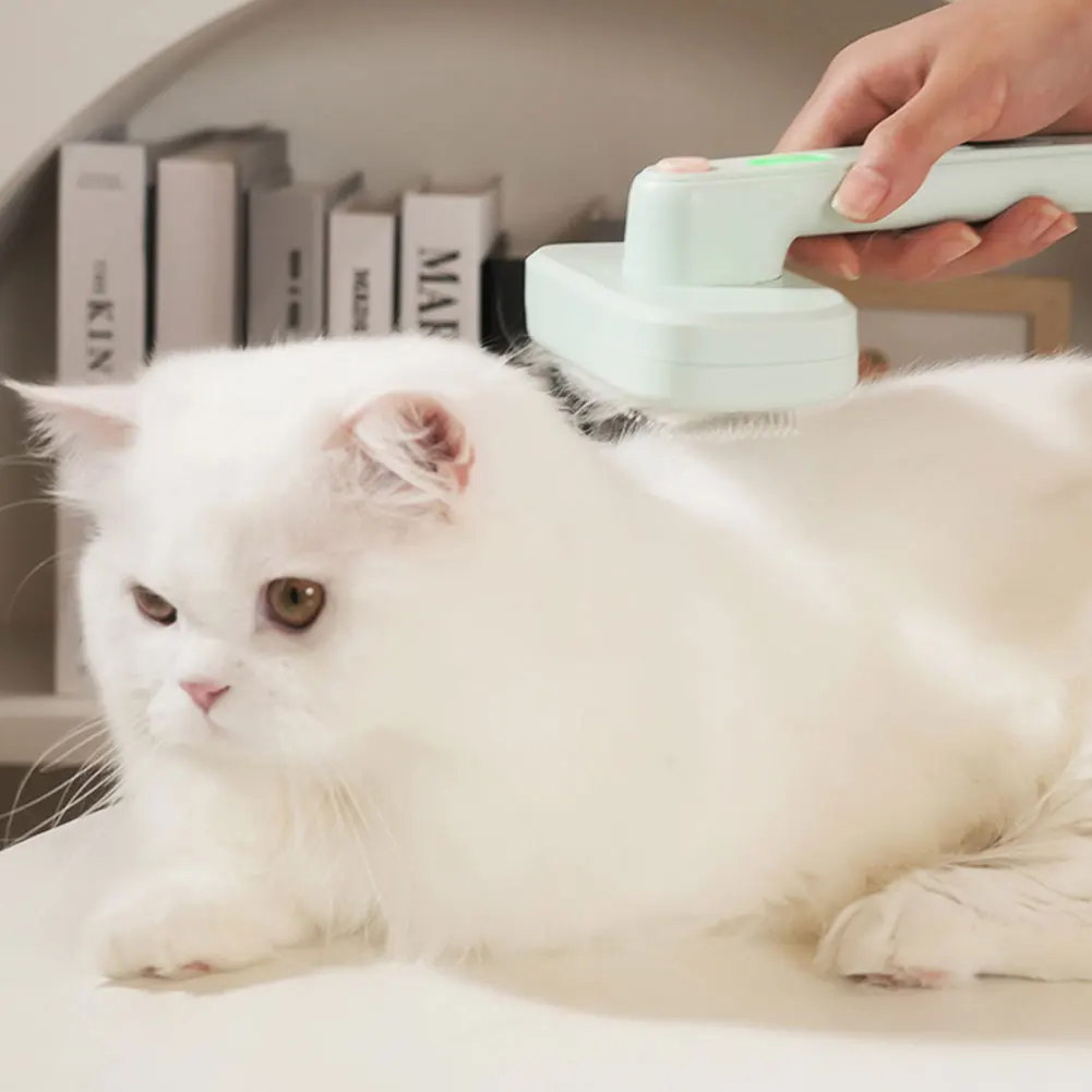 Pet hair remover brush close-up