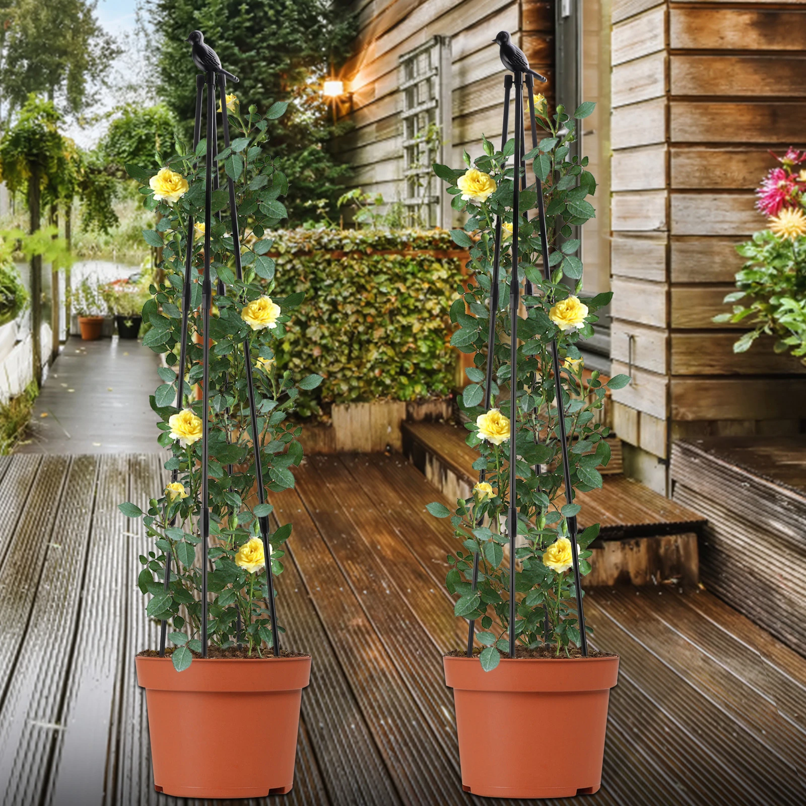 庭用のステンレス鋼フレーム 観葉植物用の花サポートシステム 1cm Aliexpress