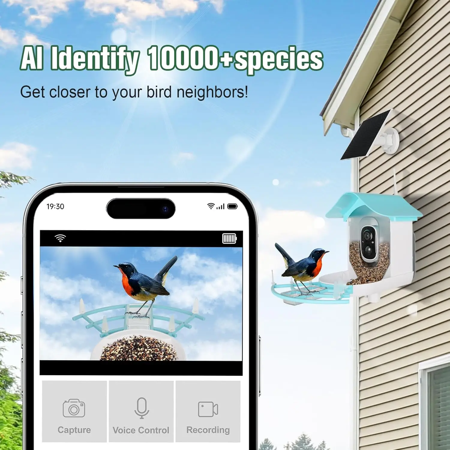 Casetta Uccelli Con Telecamera Mangiatoia Per Uccelli Con Telecamera 2K WLAN - Alimentazione Solare, Riconoscimento AI, Impermeabile IP65, 5200mAh Telecamera Notturna A Colori