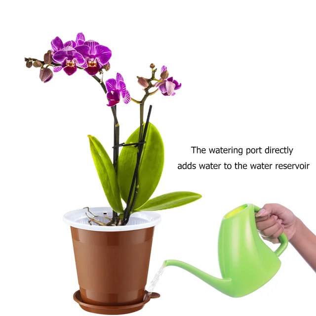 Tiszta Gyökérvezérlő Hálóháló Edény Húsos Virág Orchidea Átlátszó Lélegző Gyanta Műanyag Tartály Ültető Otthoni Kert Virágpot - Image 3