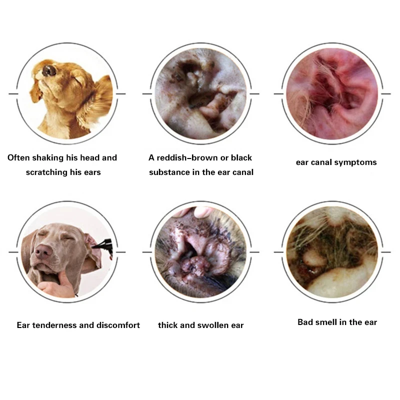 Pet Ear Drops Anti-inflammatory 60ml for Cats and Dogs Clean Ear Mites Earwax