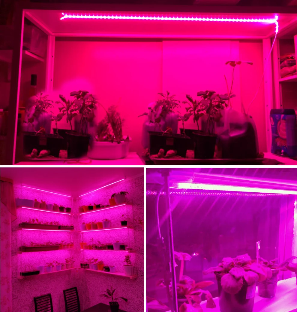 Sunshine Light 15m Bandes Lumineuses LED pour Culture Hydroponique ...